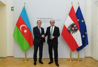 Azerbaijani, Austrian FMs hold meeting (PHOTO)