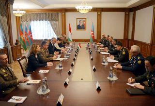 Defense ministers of Azerbaijan and Hungary discuss military and political situation in region (PHOTO/VIDEO)