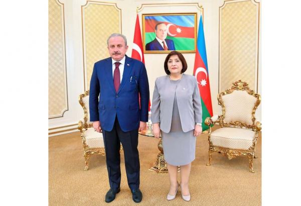 Председатель парламента Азербайджана направила письмо Мустафе Шентопу