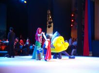 Прямой контакт с героями сказок! В Баку представлено Дисней-шоу (ФОТО/ВИДЕО)