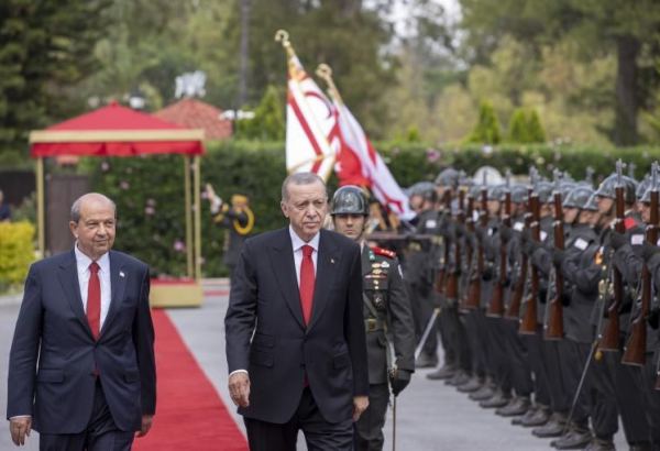 Ərdoğan Şimali Kipr Prezidenti ilə görüşüb (FOTO)