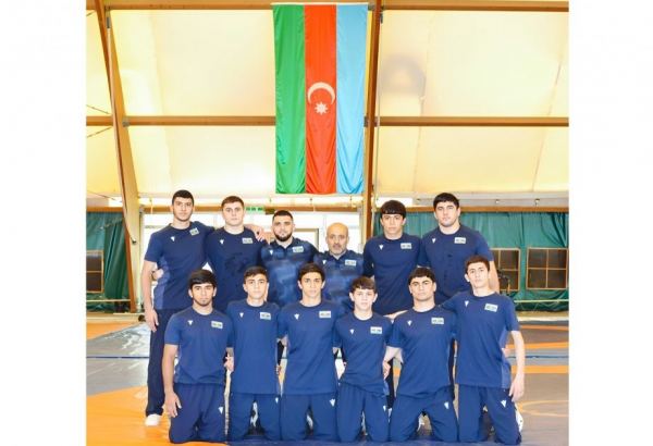 Сборная Азербайджана по вольной борьбе заняла второе место на чемпионате Европы