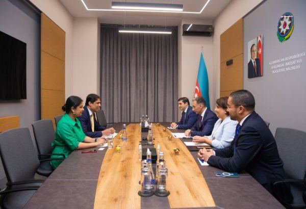 Azerbaijan discusses cooperation opportunities with Tech Mahindra company