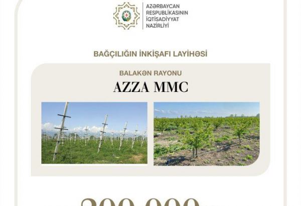 Азербайджанский фонд выделил льготный кредит для стимулирования местного производства