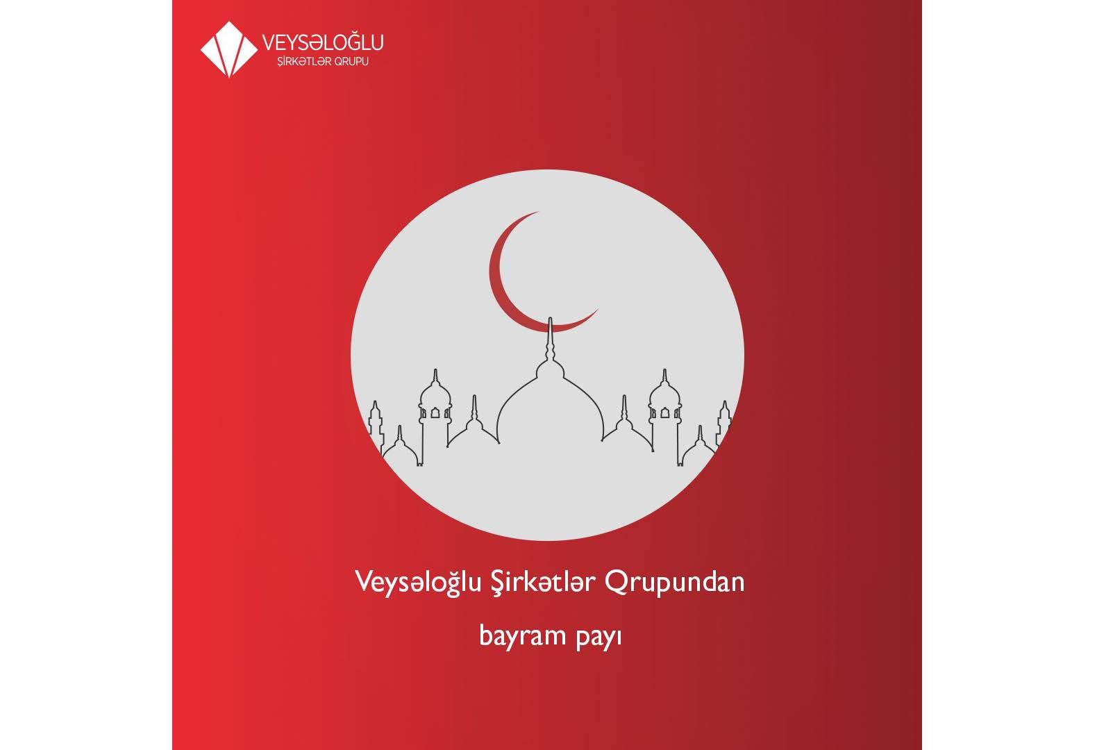 Veysəloğlu Şirkətlər Qrupu 170-dən çox ailəyə bayram sovqatı aparıb (FOTO)