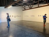 В США впервые прошла персональная выставка азербайджанской художницы (ФОТО)