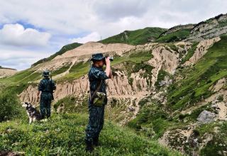 Azerbaijan reveals number of state border breeches for June 2023