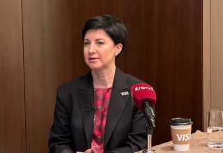 Вице-президент Visa рассказала о сотрудничестве с банками Азербайджана