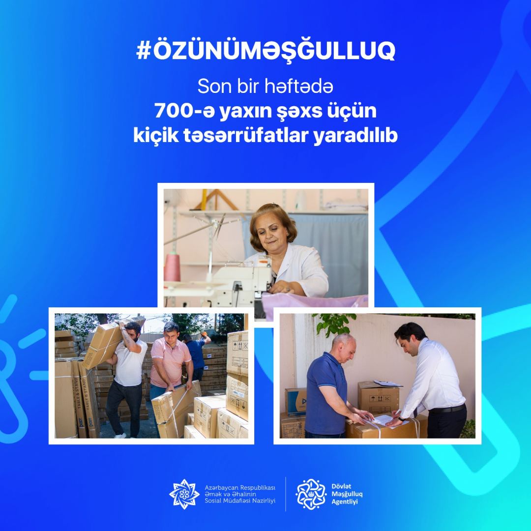 В Азербайджане в рамках программы самозанятости созданы небольшие хозяйства для 700 человек