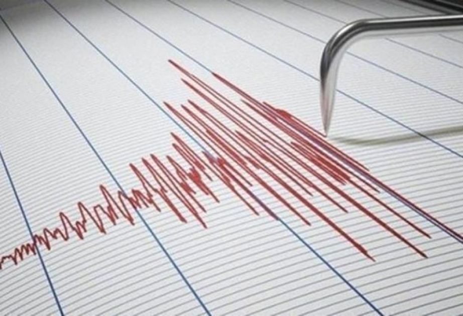 В турецкой провинции Бингель произошло землетрясение