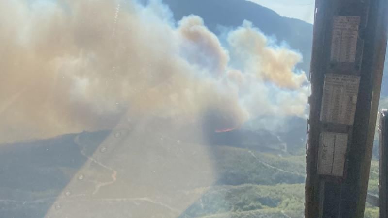 В еще двух провинциях Турции начался лесной пожар