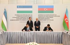 Azerbaijan and Uzbekistan to set up joint investment company (PHOTO)