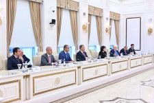 Сахиба Гафарова проинформировала Фуата Октая о ходе мирного процесса между Азербайджаном и Арменией (ФОТО)