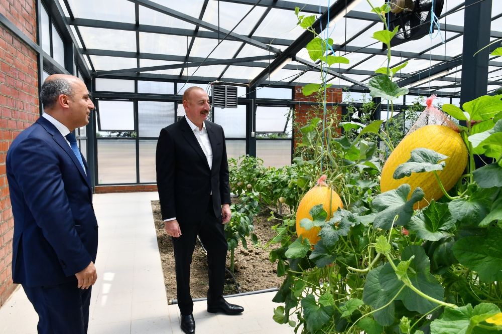 Президент Ильхам Алиев принял участие в открытии Джалилабадского государственного центра профессионального образования (ФОТО/ВИДЕО)
