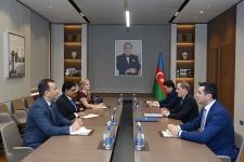 Азербайджан и ФАО обсудили возможности сотрудничества по новым направлениям (ФОТО)