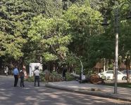 Paytaxtda güclü külək nəticəsində ağac aşıb (FOTO)