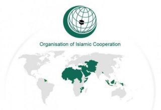 Türkiye's exports to OIC member countries revealed