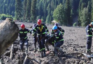 Death toll rises to twenty-nine in landslide in Georgia