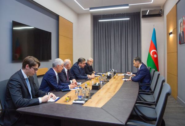 Azerbaijan, Italian Leonardo company mull ICT cooperation prospects