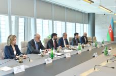 Azerbaijan, TotalEnergies discuss cooperation on renewable energy production (PHOTO)