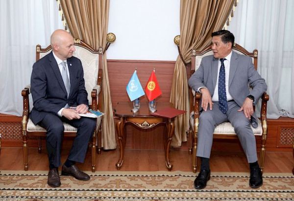 Замглавы МИД Кыргызстана обсудил перспективы сотрудничества с представителем ВОЗ
