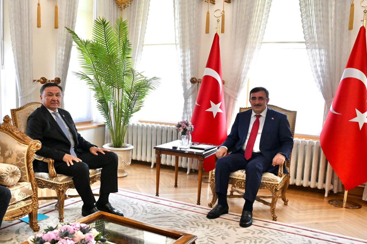 Генсек ОТГ встретился с вице-президентом Турции