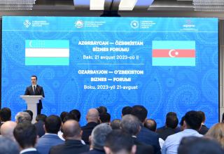 Стратегический подход глав государств вносит значимый вклад в развитие сотрудничества между Азербайджаном и Узбекистаном - министр