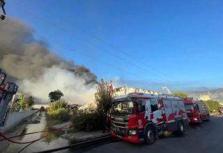 В турецкой провинции произошел пожар на красильной фабрике
