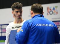 Azerbaijani taekwondo athlete wins silver at competition in Yekaterinburg (PHOTO)