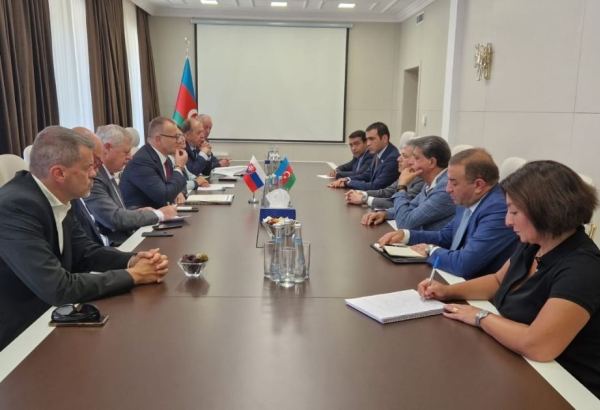 Relations between Azerbaijani, Slovak cities discussed in Shusha