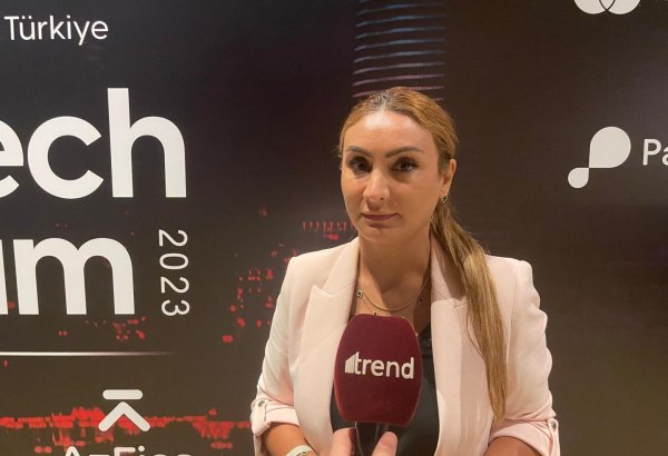 Azerbaijani company launches use of  "buy now, pay later" model