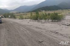 Селевые потоки нанесли ущерб дорожной инфраструктуре в Шеки (ФОТО)
