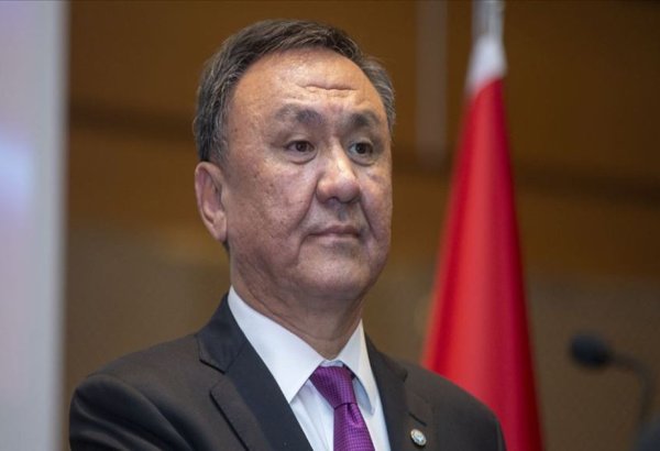 OTS SecGen condemns so-called "presidential elections" in Azerbaijan's Karabakh