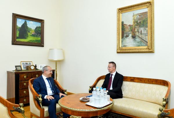 Азербайджан и Венгрия обсудили возможности партнерства по проектам "зеленой" энергетики (ФОТО)
