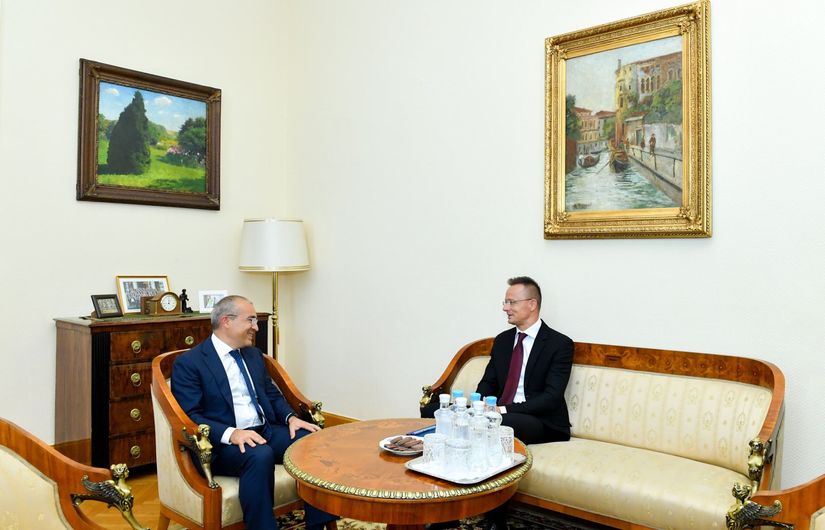 Азербайджан и Венгрия обсудили возможности партнерства по проектам "зеленой" энергетики (ФОТО)