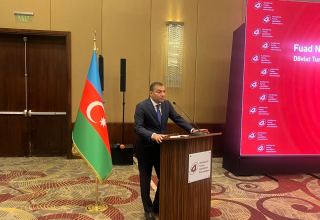 Azerbaijan names number of tourists visiting this year (PHOTO)