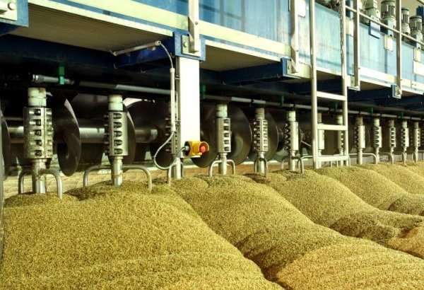 Kazakhstan aims to increase share of processed products in agricultural sector