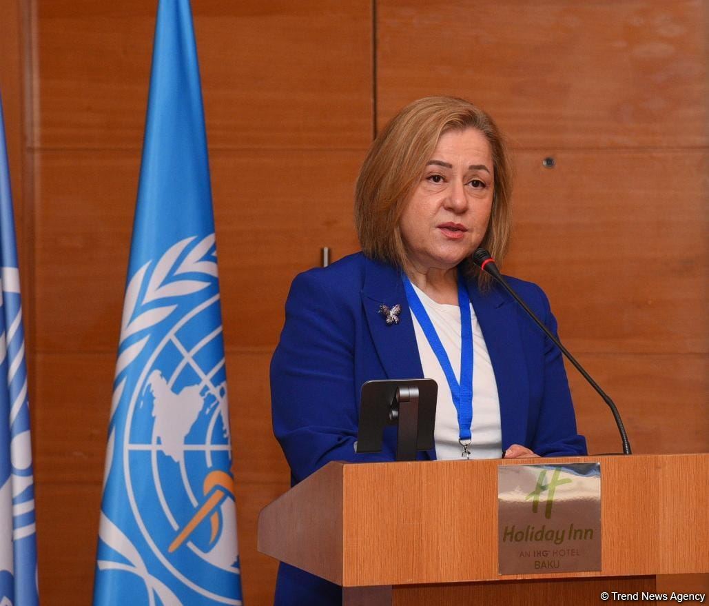 Azerbaijan aims to strengthen infection prevention and control systems