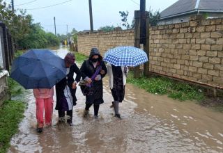 С затопленных из-за ливней территорий в Астаре и Лянкяране эвакуированы 27 человек  (ФОТО)