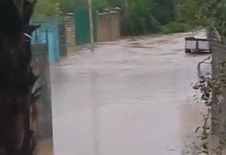 Astarada kəndi sel basıb (VİDEO)