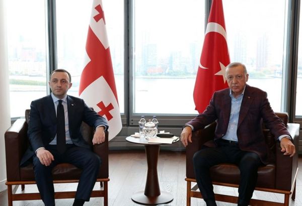 Türkiyə prezidenti Nyu-Yorkda Gürcüstanın baş naziri ilə görüşüb