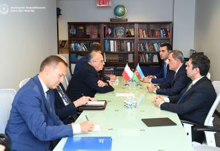 Azerbaijani FM meets Polish counterpart (PHOTO)