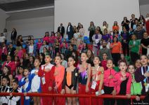 В Нахчыване состоялось открытие Международного турнира по художественной гимнастике "Grace of Nature" (ФОТО)