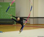 First day of rhythmic gymnastics tournament: competitive spirit, cherished medals (PHOTO)