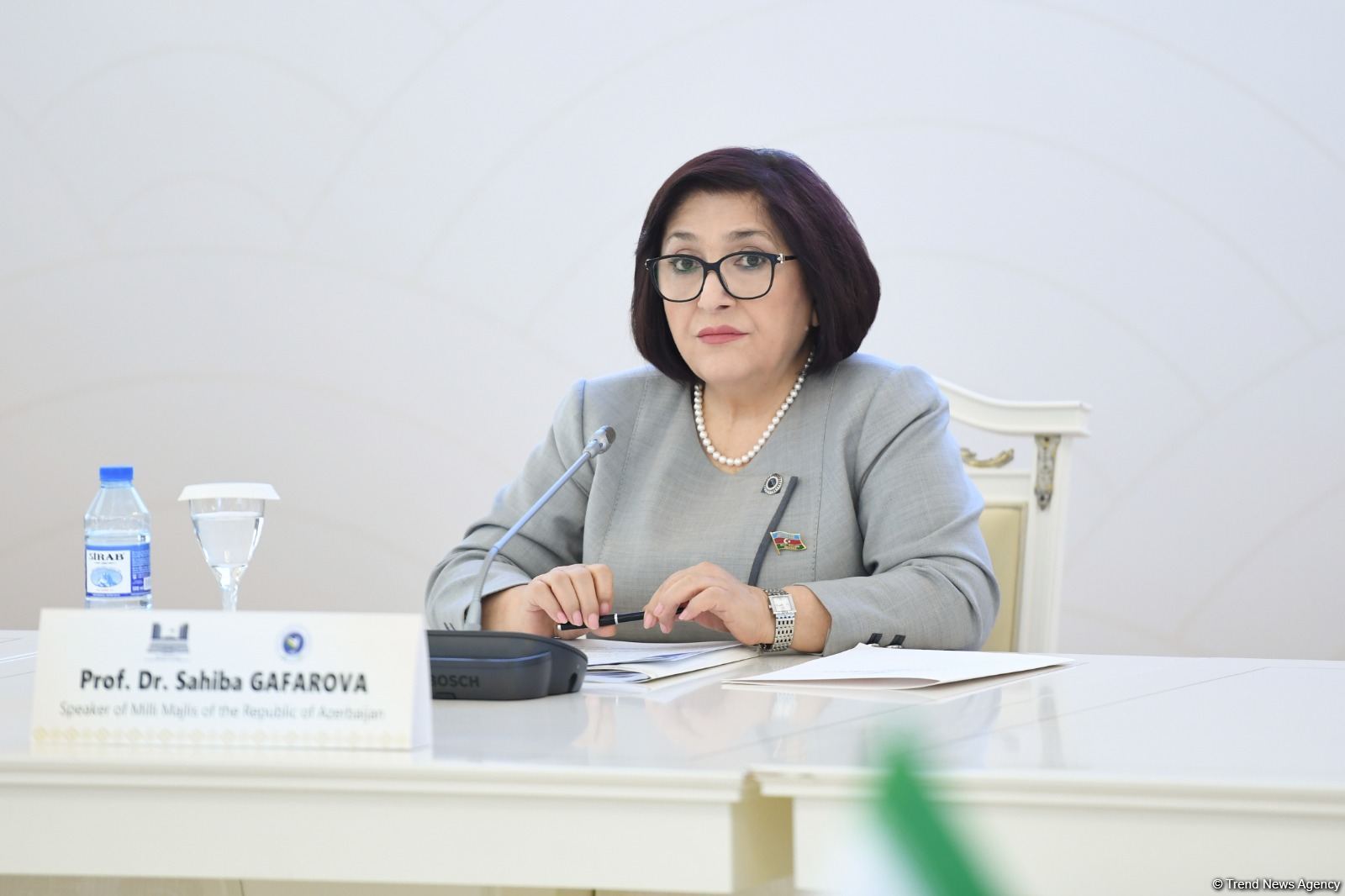 Azerbaijani Parliamentary speaker details anti-terrorist measures at APA meeting (PHOTO)