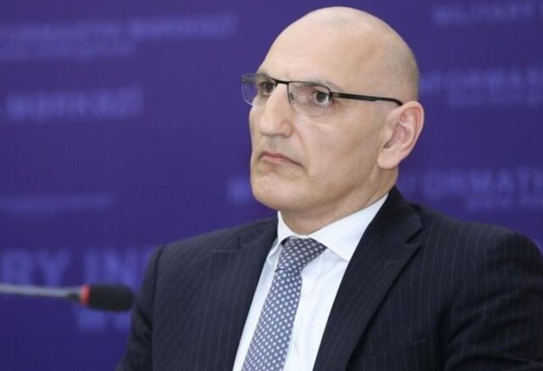 France acts detrimental to prospects for advancing peace process between Azerbaijan, Armenia - president's representative