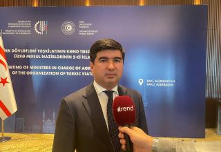 Азербайджан и Узбекистан совместно работают над развитием сельскохозяйственного потенциала - министр (Эксклюзивное интервью)