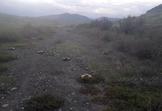 В Карабахском регионе Азербайджана обезврежены мины-ловушки (ВИДЕО)