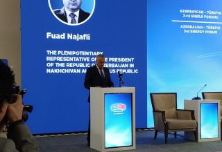 Фуад Наджафли назвал цель в связи с развитием альтернативной энергетики в Нахчыване