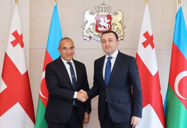 Azerbaijan, Georgia discuss strengthening economic partnership (PHOTO)
